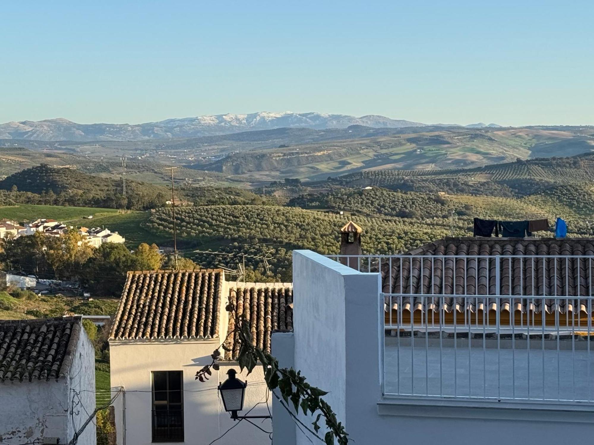 Lemon Tree Patio Villa Olvera Exterior photo