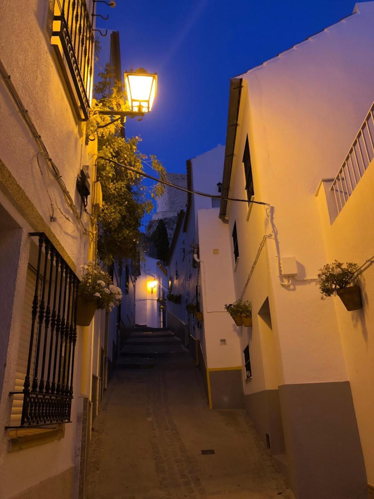 Lemon Tree Patio Villa Olvera Exterior photo